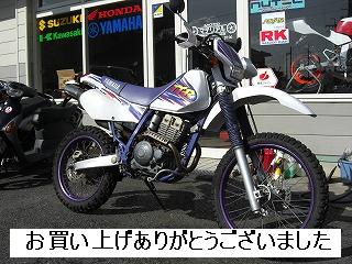 中古車　ヤマハ　ＴＴ２５０Ｒ