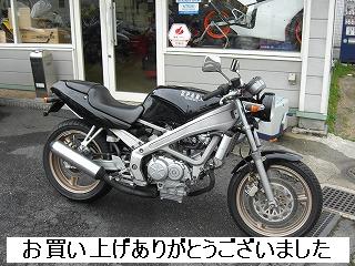 ホンダ　ＶＴ２５０　ＳＰＡＤＡ